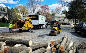  Elon, NC Tree Services Pros